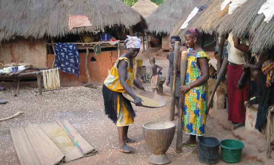 lavage du riz à la main en afrique dans l'archipel des bijagos